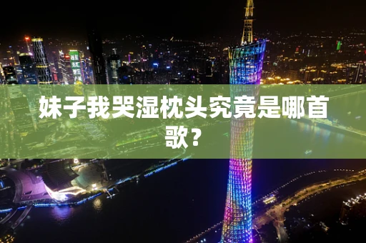 妹子我哭湿枕头究竟是哪首歌？