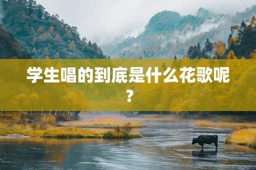 学生唱的到底是什么花歌呢？
