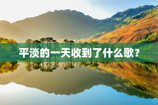 平淡的一天收到了什么歌？