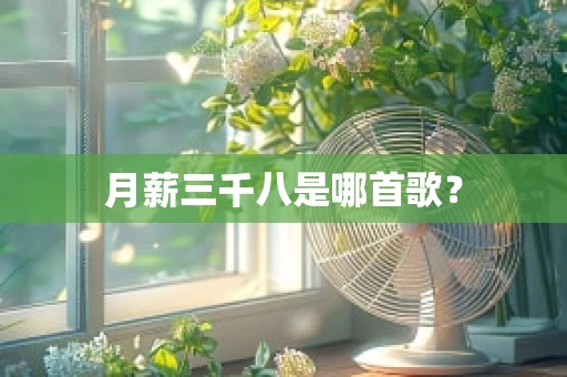 月薪三千八是哪首歌？