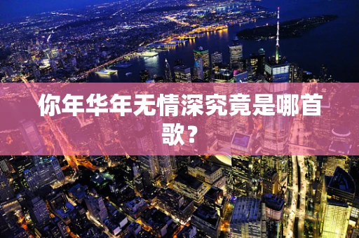 你年华年无情深究竟是哪首歌？