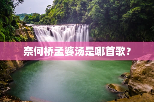 奈何桥孟婆汤是哪首歌？