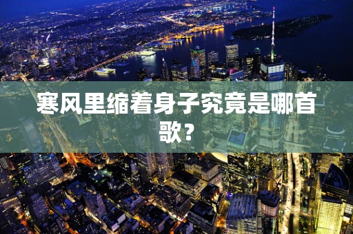 寒风里缩着身子究竟是哪首歌？