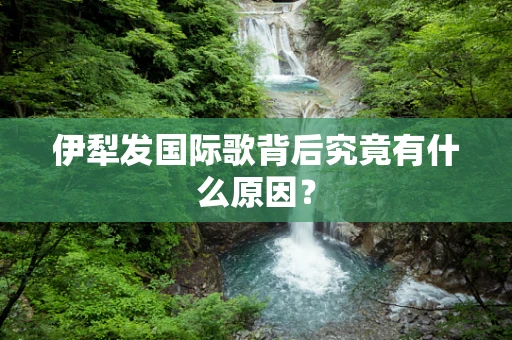 伊犁发国际歌背后究竟有什么原因？