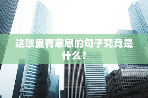 这歌里有意思的句子究竟是什么？
