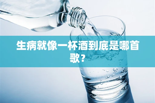生病就像一杯酒到底是哪首歌？