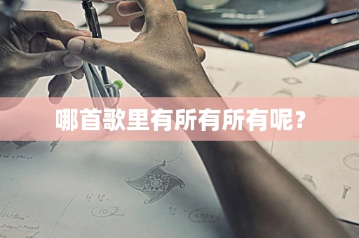 哪首歌里有所有所有呢？