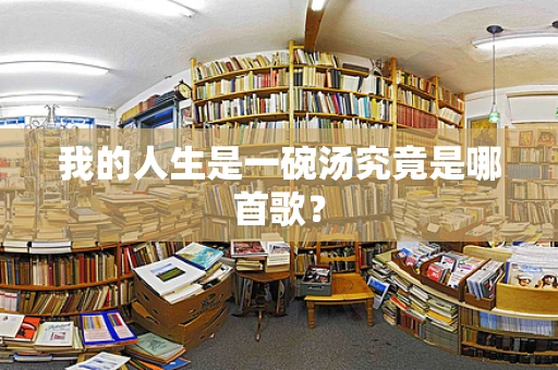我的人生是一碗汤究竟是哪首歌？