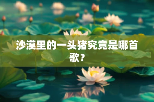 沙漠里的一头猪究竟是哪首歌？