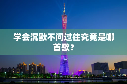 学会沉默不问过往究竟是哪首歌？