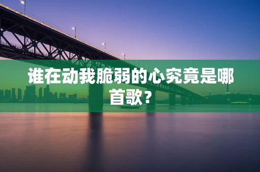 谁在动我脆弱的心究竟是哪首歌？