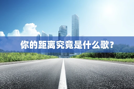你的距离究竟是什么歌？