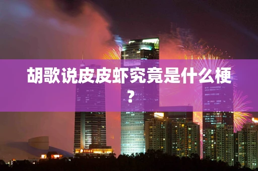 胡歌说皮皮虾究竟是什么梗？