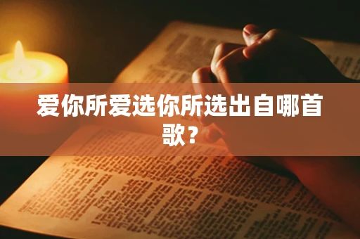 爱你所爱选你所选出自哪首歌？