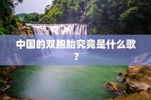 中国的双胞胎究竟是什么歌？