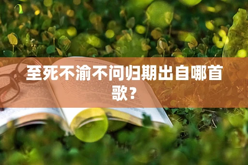 至死不渝不问归期出自哪首歌？