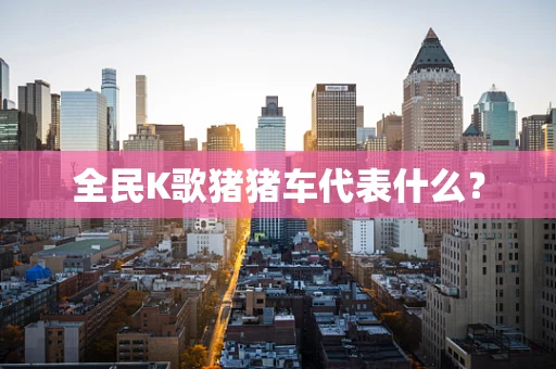 全民K歌猪猪车代表什么？