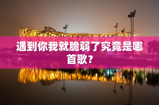 遇到你我就脆弱了究竟是哪首歌？