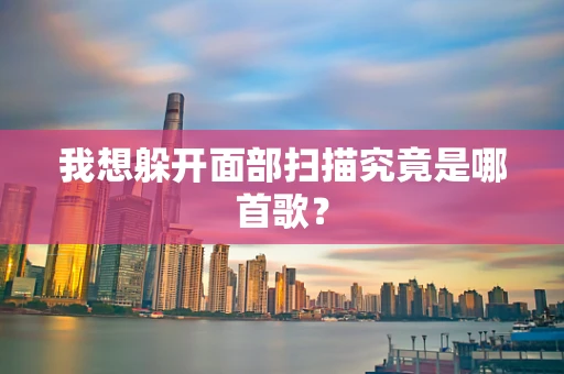 我想躲开面部扫描究竟是哪首歌？