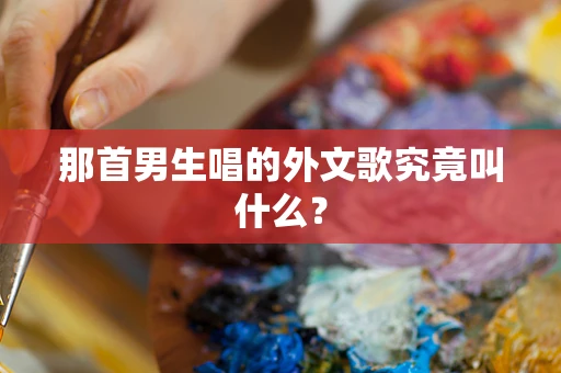 那首男生唱的外文歌究竟叫什么？