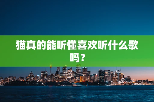 猫真的能听懂喜欢听什么歌吗？