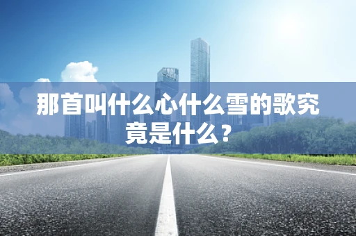 那首叫什么心什么雪的歌究竟是什么？