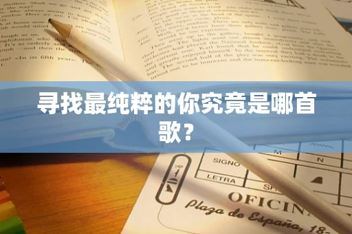 寻找最纯粹的你究竟是哪首歌？
