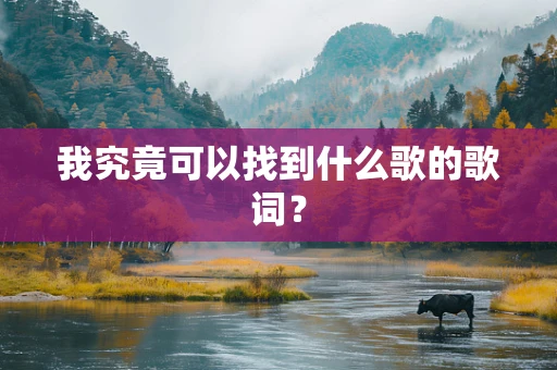 我究竟可以找到什么歌的歌词？