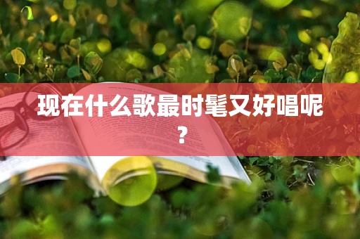 现在什么歌最时髦又好唱呢？