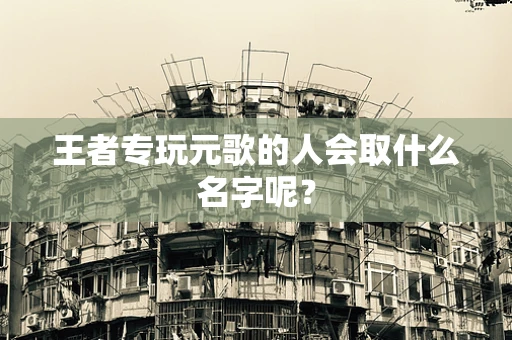 王者专玩元歌的人会取什么名字呢？