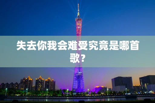 失去你我会难受究竟是哪首歌？