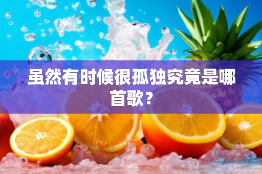 虽然有时候很孤独究竟是哪首歌？