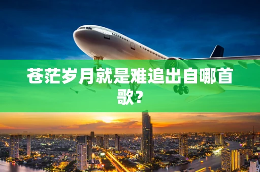 苍茫岁月就是难追出自哪首歌？
