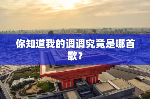 你知道我的调调究竟是哪首歌？