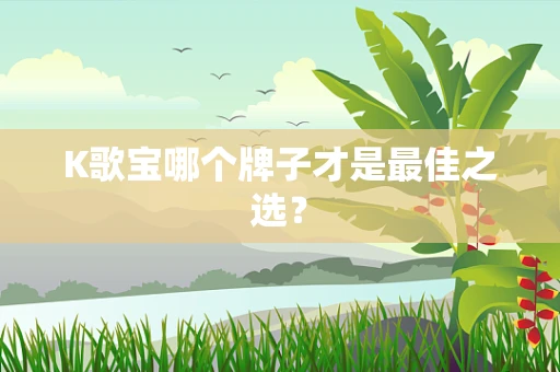 K歌宝哪个牌子才是最佳之选？