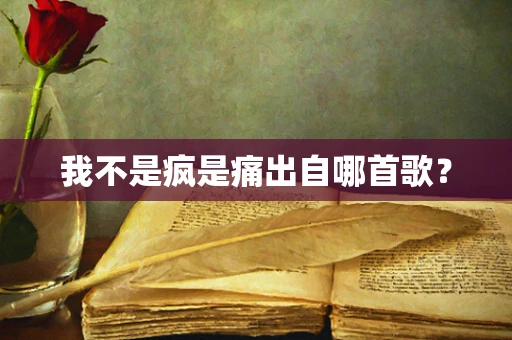 我不是疯是痛出自哪首歌？