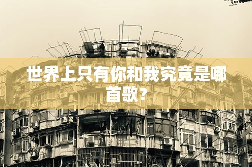 世界上只有你和我究竟是哪首歌？