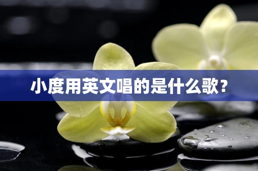 小度用英文唱的是什么歌？