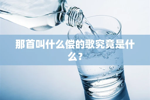 那首叫什么偿的歌究竟是什么？