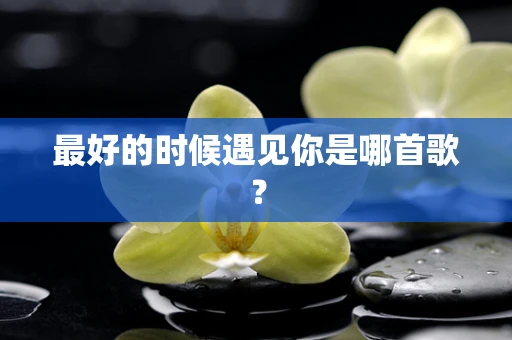 最好的时候遇见你是哪首歌？