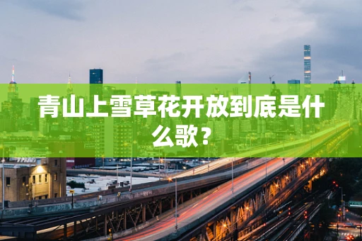 青山上雪草花开放到底是什么歌？