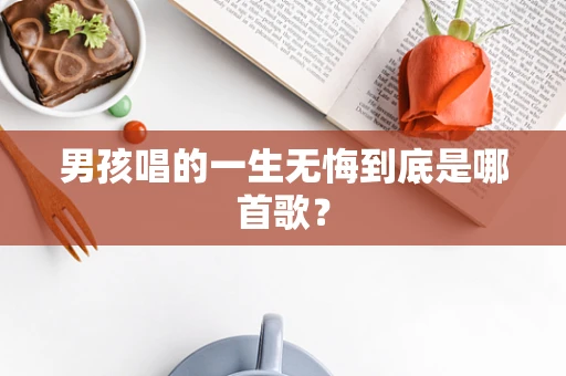 男孩唱的一生无悔到底是哪首歌？