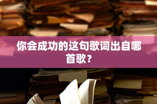 你会成功的这句歌词出自哪首歌？