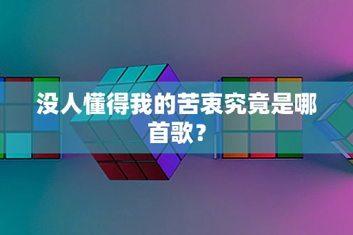 没人懂得我的苦衷究竟是哪首歌？