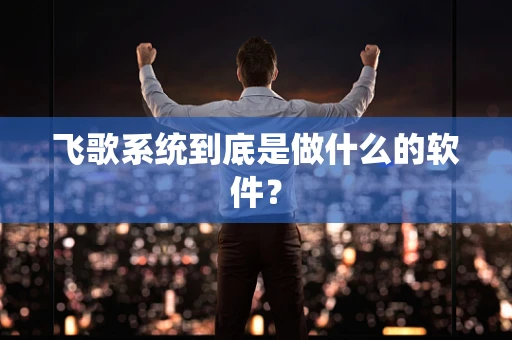 飞歌系统到底是做什么的软件？