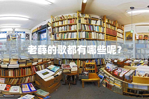 老薛的歌都有哪些呢？