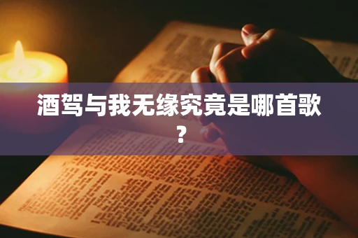 酒驾与我无缘究竟是哪首歌？