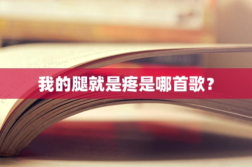 我的腿就是疼是哪首歌？