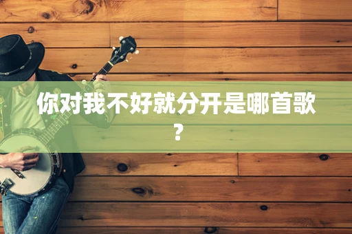 你对我不好就分开是哪首歌？