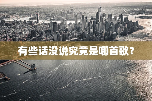 有些话没说究竟是哪首歌？